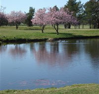 RMC Golf Club - Tourism Search