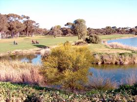 Maitland Golf Club Incorporated - Tourism Search 1