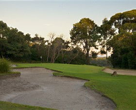Anglesea Golf Club - Tourism Search 4