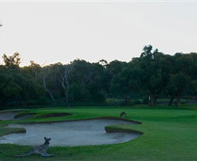 Anglesea Golf Club - Tourism Search 8