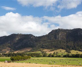 Wards River NSW Tourism Search