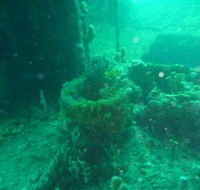 Wallaroo Scuba Club - Tourism Search