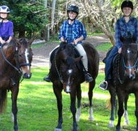 Kings Creek Saddle Club - Tourism Search