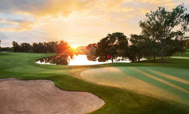 Barmera Golf Club - Tourism Search 0