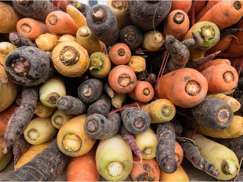 Alphington Farmers' Market - Tourism Search 2
