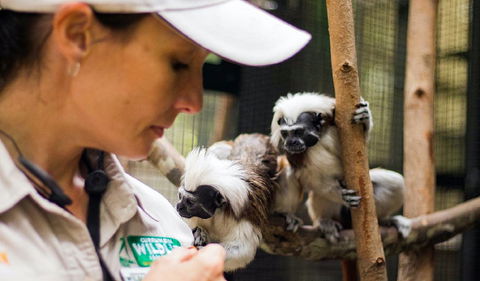 Animal Training And Conditioning - September - Tourism Search 0