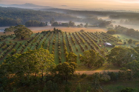 A Taste Of Truffles - Tourism Search 1