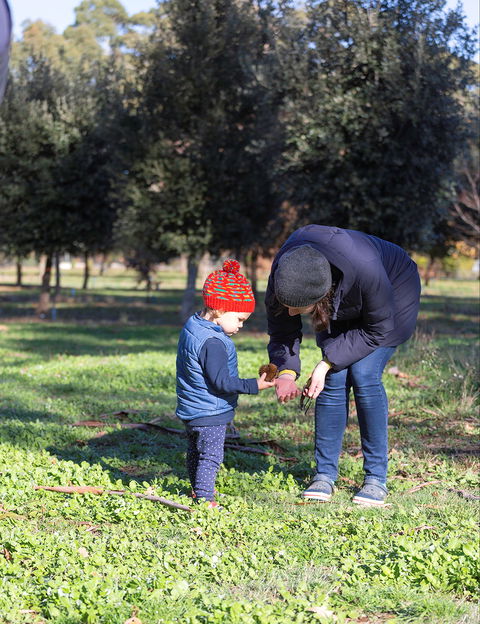 A Taste Of Truffles - Tourism Search 2