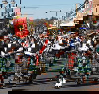 Australian Celtic Festival - Tourism Search
