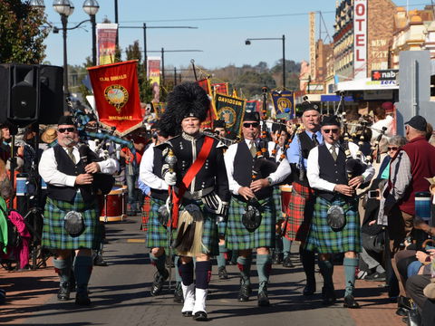 Australian Celtic Festival - Tourism Search 0