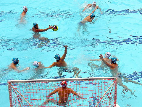 Australian Youth Water Polo Championships - Tourism Search 0
