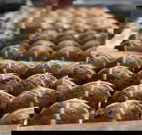 Baking - Sourdough Variations - Tourism Search