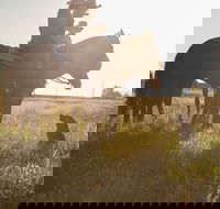 Balonne Cutting Horse Futurity - Tourism Search