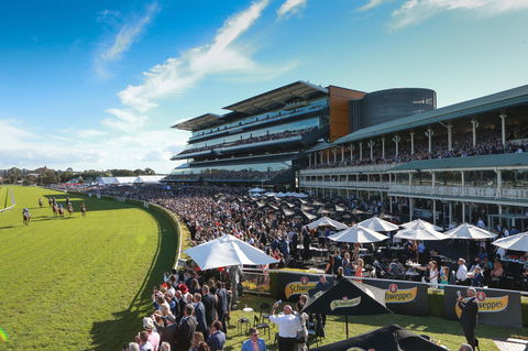 City Tattersalls Club Cup Day - Tourism Search 1