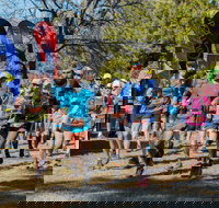 Duval Dam Buster Trail Run - Tourism Search