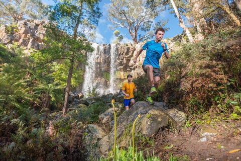 Goldrush Trail Runs - Tourism Search 1