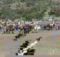 Gresford Agricultural Show - Tourism Search
