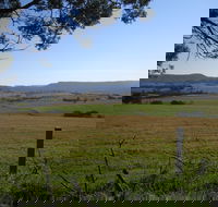 Milton Village Showground Markets - Tourism Search