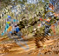 NSW State Downhill Mountain Bike Championships - Tourism Search