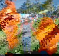 Outback Festival - Tourism Search