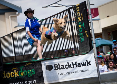 Perth Royal Show - Tourism Search 2