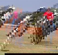 Pride of the West Races 2020 - Tourism Search