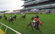 The TAB Everest: The World’s Richest Race On Turf - thumb 0