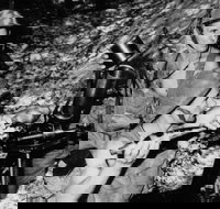 War on our shores - Tourism Search