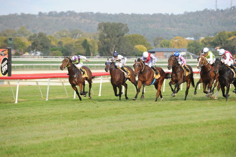 Aggies Race Day - Tourism Search 0