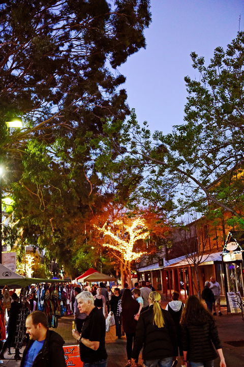 Alice Springs Town Council Night Markets - Tourism Search 0