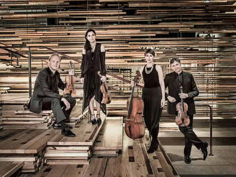 Australian String Quartet Plays Late Beethoven - Tourism Search 2