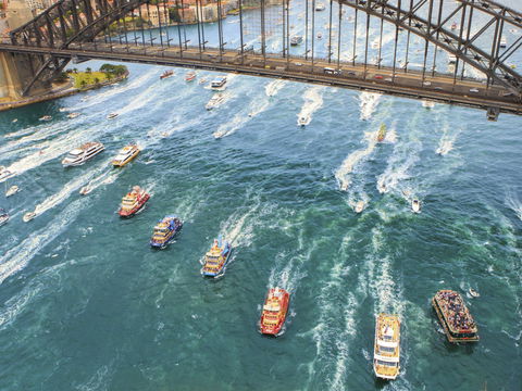 Australia Day Lunch Cruise - Tourism Search 1