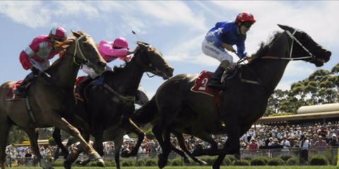 Batemans Bay Cup - Tourism Search 0