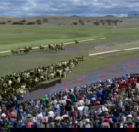 Cooma Sundowners Cup - Tourism Search