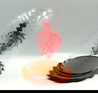 Corrosion Casting - Tourism Search