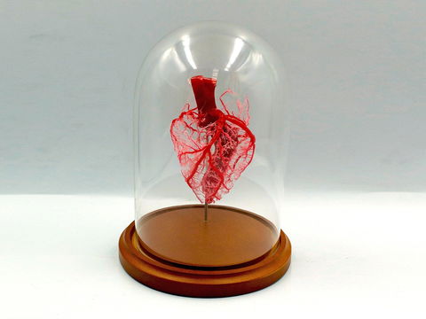 Corrosion Casting - Tourism Search 0