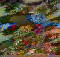 Glenrock Gardens Open Garden - Tourism Search