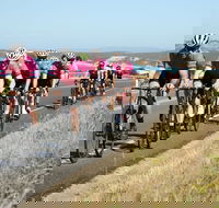 Great Ocean  Otway Classic Ride - Tourism Search