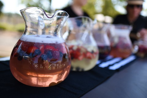 Griffith Spring Fest - LINX Launch Party - Tourism Search 2