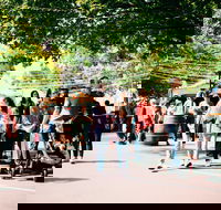 Hahndorf Christkindlmarkt - Tourism Search