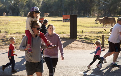 MAAS Group Dubbo Stampede Running Festival - Tourism Search 1
