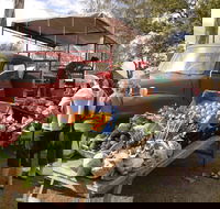 Murphys Creek Markets - Tourism Search