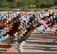 Port Stephens Triathlon Festival - Tourism Search