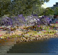 Shoalhaven River Festival - Tourism Search