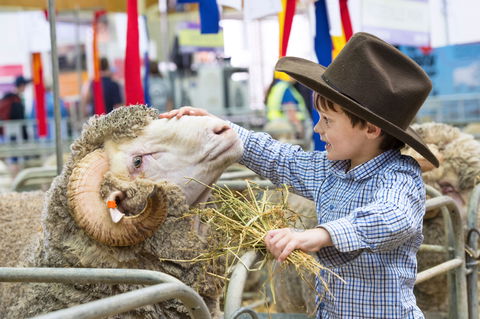 Sydney Royal Easter Show - Tourism Search 0