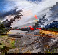 The Bellarine Railway Santa Train Specials - Tourism Search