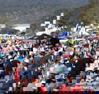 AgQuip - Tourism Search