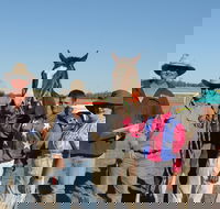 Annual Prairie Races - Tourism Search