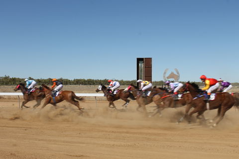 Annual Prairie Races - Tourism Search 1