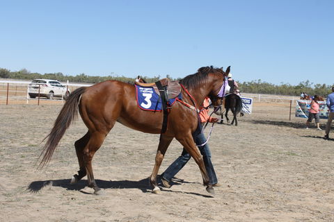 Annual Prairie Races - Tourism Search 2